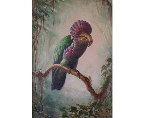 •RENATO CATALDI (1909-1981) HAWK-HEADED PARROT Signed, artist's labels verso, oil on board 38 x 25.5cm. Provenance: London, T