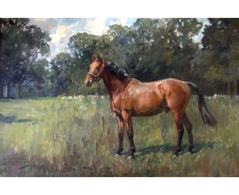 •LIONEL EDWARDS (1878-1966) PORTRAIT OF `WINGS`, A BAY HUNTER IN A PADDOCK Signed and dated 1949, oil on canvas 49.5 x 75cm. 