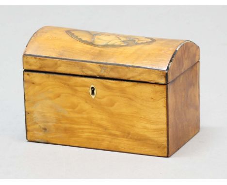 REGENCY SATINWOOD TEA CADDY the domed lid with shell inlay enclosing two lidded compartments, height 13cm, width 18cm, depth 
