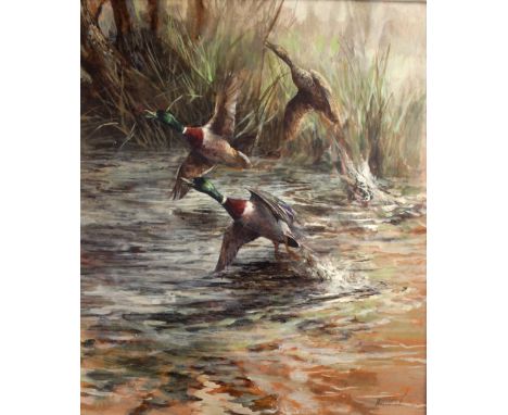 •KEN TURNER (b.1926) MALLARD RISING Signed, oil on board 34 x 28.5cm. with a smaller pair by the same hand, of swans, both si