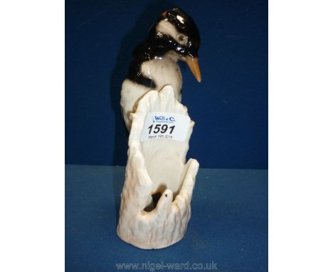 A Goebel Great spotted Woodpecker