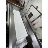 S/S Framed Conveyor with 4' x 2' S/S Framed Platform with Ladder, Dimensions= 92' x 24' - Rigging Fe