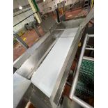 S/S Framed Conveyor with 4' x 2' S/S Framed Platform with Ladder, Dimensions= 92' x 24' - Rigging Fe