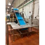 Advance Food Company 13' x 2', S/S Framed Elevator Conveyor - Rigging Fee: $1750