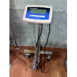 A&A Scales with Mobile Base, Model: VS-660 with 36" x 30" 2,450 LB Capacity Platform Comark Corp AMI
