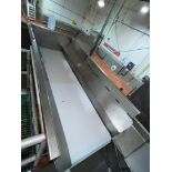 S/S Framed Conveyor with 4' x 2' S/S Framed Platform with Ladder, Dimensions= 92' x 24' - Rigging Fe