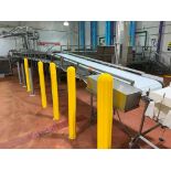 S/S Frames Conveyor with Drive, Dimensions= 50' x 2' - Rigging Fee: $400