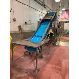 Advance Food Company 13' x 2', S/S Framed Elevator Conveyor with Casters - Rigging Fee: $1750