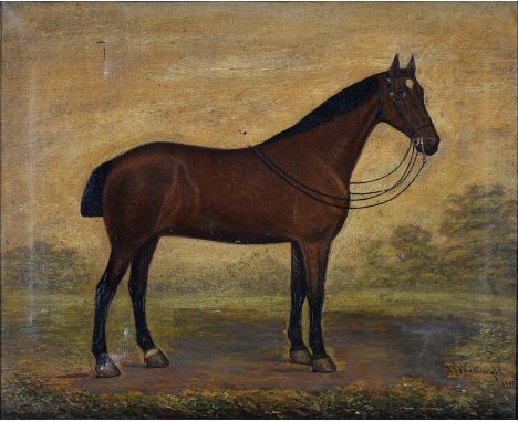 T WAINWRIGHT (FL LATE 19TH - EARLY 20TH CENTURY) - PORTRAIT OF A HORSE, SIGNED AND DATED 1903, OIL ON CANVAS, 52.5 X 65CM Sev