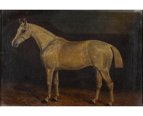ATTRIBUTED TO WALTER HARROWING (C1838-1913) - PORTRAIT OF A WHITE HORSE, 'GREY MIST', OIL ON CANVAS, 18.5 X 27.5CM, IN MAPLE 