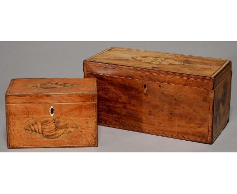 TWO GEORGE III MAHOGANY TEA CADDIES, C1800, CROSSBANDED AND LINE INLAID, ONE WITH SHELL PATERAE, THE OTHER WITH SHELL PATERA,