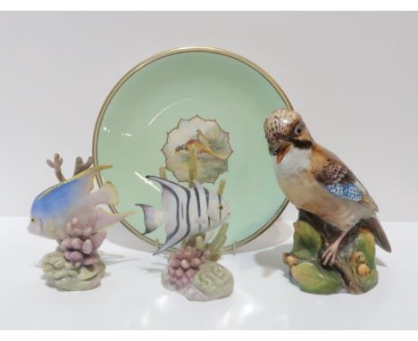 A Royal Worcester model of a Jay, a Blue Angel fish, a Spade fish and a Townsend pheasant painted plate Condition Report: pla