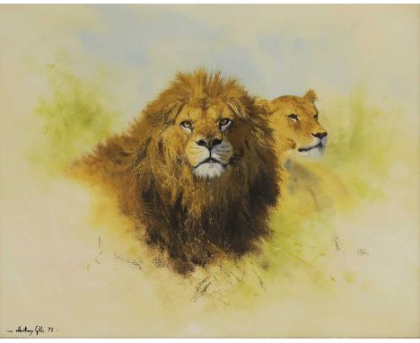 ▲ Anthony Gibbs (b.1951) Lion and lionesssigned and dated 'Anthony Gibbs '78' l.l., oil on canvas41 x 51cmCondition ReportFra