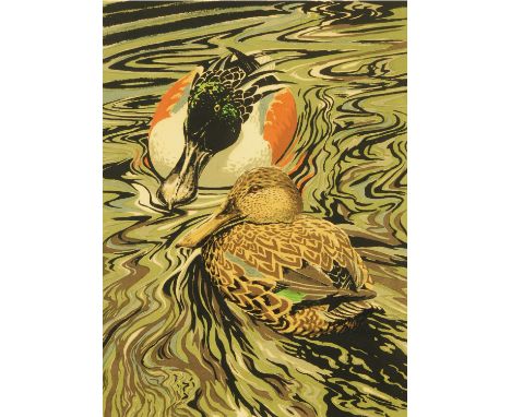 John Tennent, Limited Edition print, "Duck & Drake Shovellers".  43 cm x 32 cm, signed and dated 1971.