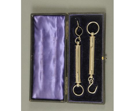 A pair of Salters balance scales, in plush lined case.  Case length 22.5 cm. 