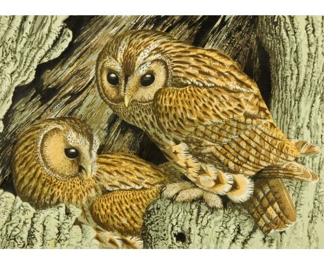 John Tennent, Limited Edition print, Tawny owls, 13/85.  32 cm x 46 cm, framed.
