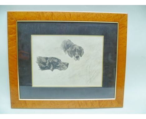 AFTER MAUD EARL Head and neck study of two Pointer Gun Dogs, one front facing, the other side, a black and white Print, 22.5c