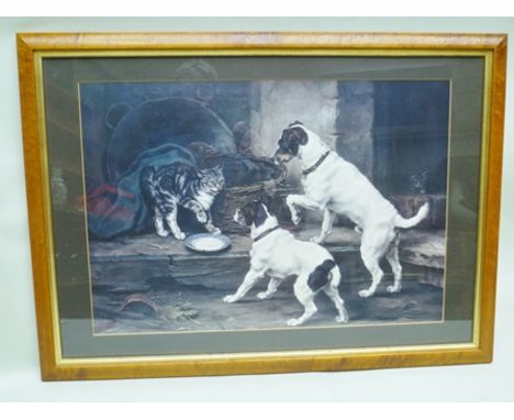 AFTER LUCY LEAVERS "Two Jack Russells and a Cat", a colour Print, 38cm x 56cm, in maple veneered frame with gilt slip, mounte