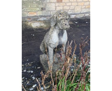 A VINTAGE WEATHERED COTSWOLD STONE STYLE MODEL OF A SEATED HUNTING DOG, 75cm high 