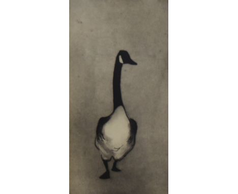 Julian Williams (b.1953, British), etching, 'Proud Goose', signed to the lower right, limited edition 37/100, framed, mounted