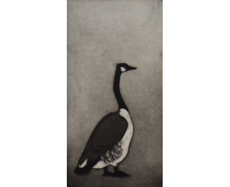 Julian Williams (b.1953, British), etching, Untitled - Canadian Goose, signed to the lower right, limited edition 35/60, fram