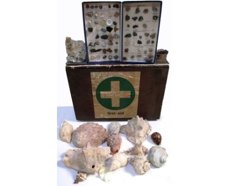 A vintage wooden case containing a quantity of seashells of varying types, also a boxed set of mineral samples.