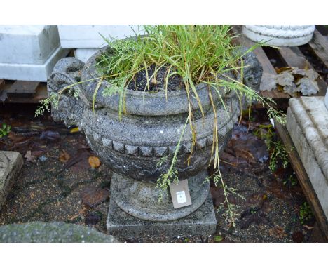 A classical garden urn shaped planter.