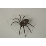 A BRONZE OKIMONO OF A SPIDER, 7cm wide.