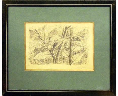 Gaul, August (1869-1921) Frösche. Lithographie (Papier gebräunt, min. fleckig), re. u. mit Bleistift sign. und li. u. Ex. 79/