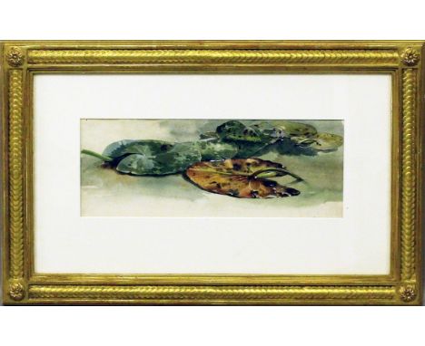 Unbekannter Maler (um 1879) Studie von Seerosenblättern "Water Lily leaves", so li. u. betitelt, undeutlich sign. und dat. (1