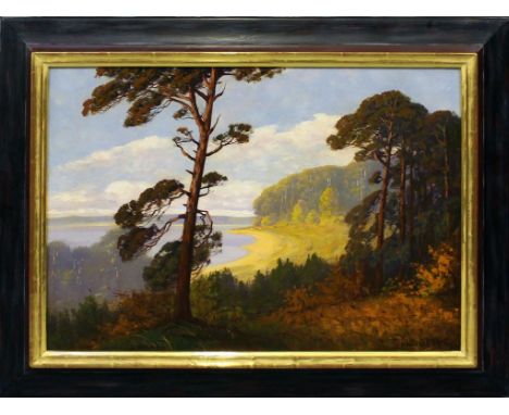 Hellgrewe, Rudolf (1860 Hammerstein-Berlin 1935) Märkisches Seeufer mit Kiefern. Öl/Lwd., re. u. sign. 51x 71 cm. R.