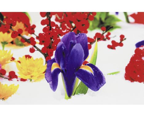 Marc Quinn (British, born 1964)Untitled, no. 8 from 'Winter Garden' Pigment print in colours, 2004, on wove, signed and numbe