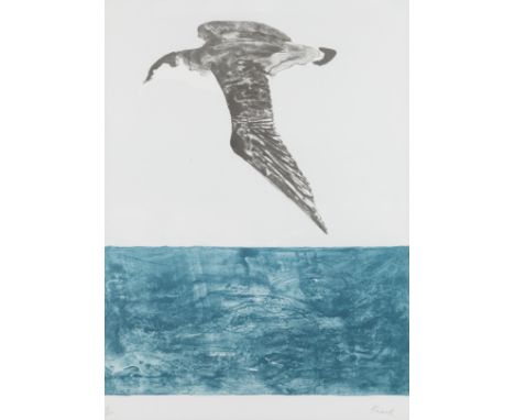 Dame Elisabeth Frink R.A. (British, 1930-1993)The Shearwater, from 'Seabirds' (Wiseman 90) Lithograph printed in colours, 197