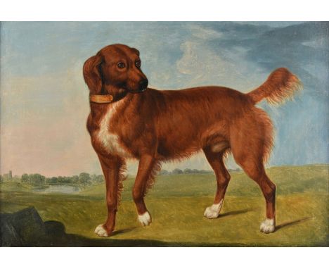 Stringer (Thomas, 1722-1790). Portrait of Rake, 1770, oil on canvas, depicting a setting dog (with the general appearance of 