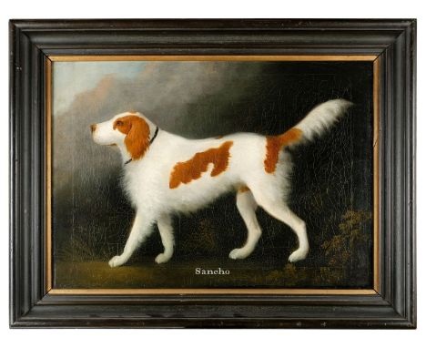 Clowes (Daniel, 1774-1829). Portrait of Sancho, oil on canvas, profile portrait of a brown and white spaniel wearing a black 