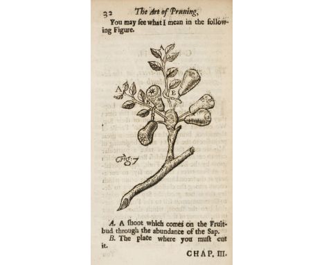 [Venette, Nicolas]. The Art of Pruning Fruit-Trees, with an Explanation of some Words which Gardiners make use of in speaking