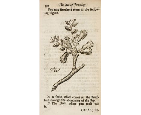 [Venette, Nicolas]. The Art of Pruning Fruit-Trees, with an Explanation of some Words which Gardiners make use of in speaking