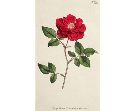 Curtis (William). The Botanical Magazine or Flower-Garden Displayed: in which the most ornamental foreign plants, cultivated 