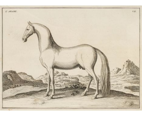 D'Eisenberg (Friedrich Wilhelm, Baron von). L'Art de Monter a Cheval, ou Description du Manege Moderne, dans sa perfection ..