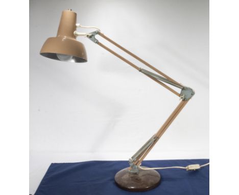 An anglepoise lamp.
