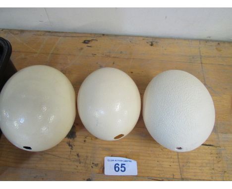  Sale Item:    BOX 3 OSTRICH EGGS   Vat Status:   No Vat   Buyers Premium:  This lot is subject to a Buyers Premium of 15% + 