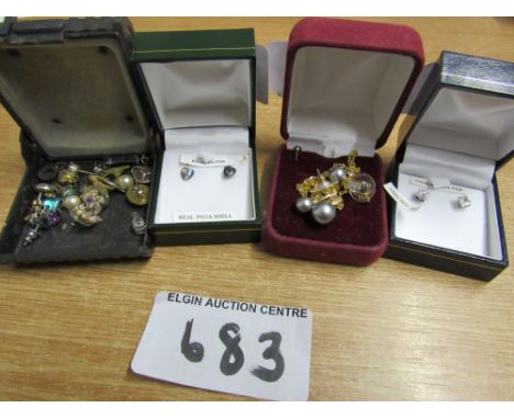  Sale Item:    4 LOTS EAR RINGS INCL PAUA SHELL   Vat Status:   No Vat   Buyers Premium:  This lot is subject to a Buyers Pre