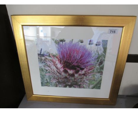  Sale Item:    SCOTTISH THISTLE PRINT   Vat Status:   No Vat   Buyers Premium:  This lot is subject to a Buyers Premium of 15