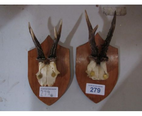  Sale Item:    2 PAIRS ANTLERS ON WOOD PLAQUES   Vat Status:   No Vat   Buyers Premium:  This lot is subject to a Buyers Prem