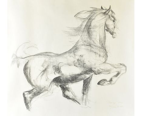 Ins smaalders, Dutch, 20th Century, charcoal and pen on paper, study of a pony, signed LR, 58cm x 45cm, framed and glazed, to