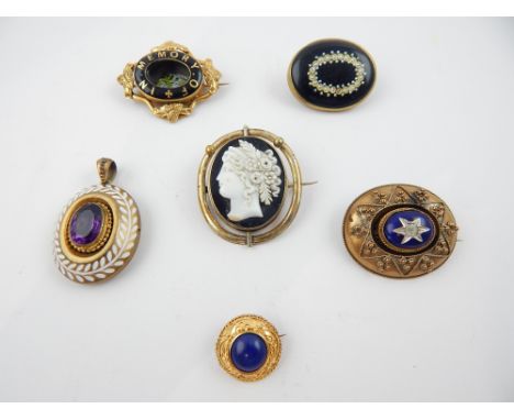 Pendant with trailing leaf enamel decoration, cameo brooch, memoriam brooch and others. 