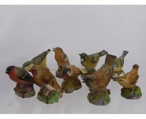 Collection of Royal Worcester Garden Bird Figures, including Chaffinch, Nuthatch, Great Tit, Robin, Sparrow and Gold Finch, B