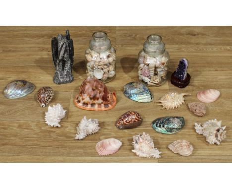 Natural History - a collection conchological, geological, and palaeontological, including a polished orthoceras specimen, ame