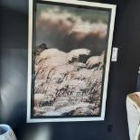 Cadre 43'' x 63''