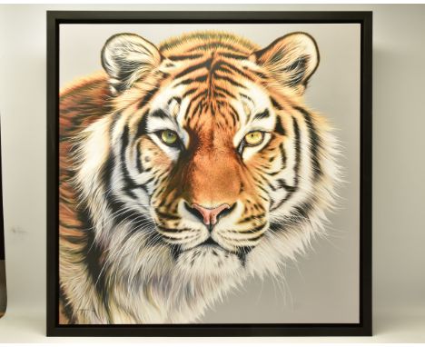 DARRYN EGGLETON (SOUTH AFRICA 1981) 'THE PATRIARCH',  a signed limited edition print on canvas depicting a portrait of a Tige